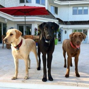 Meet your Posher, Mara